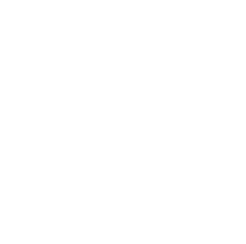 Salvaje